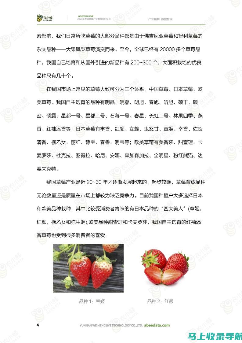 站长统计草莓：揭秘网站流量背后的秘密